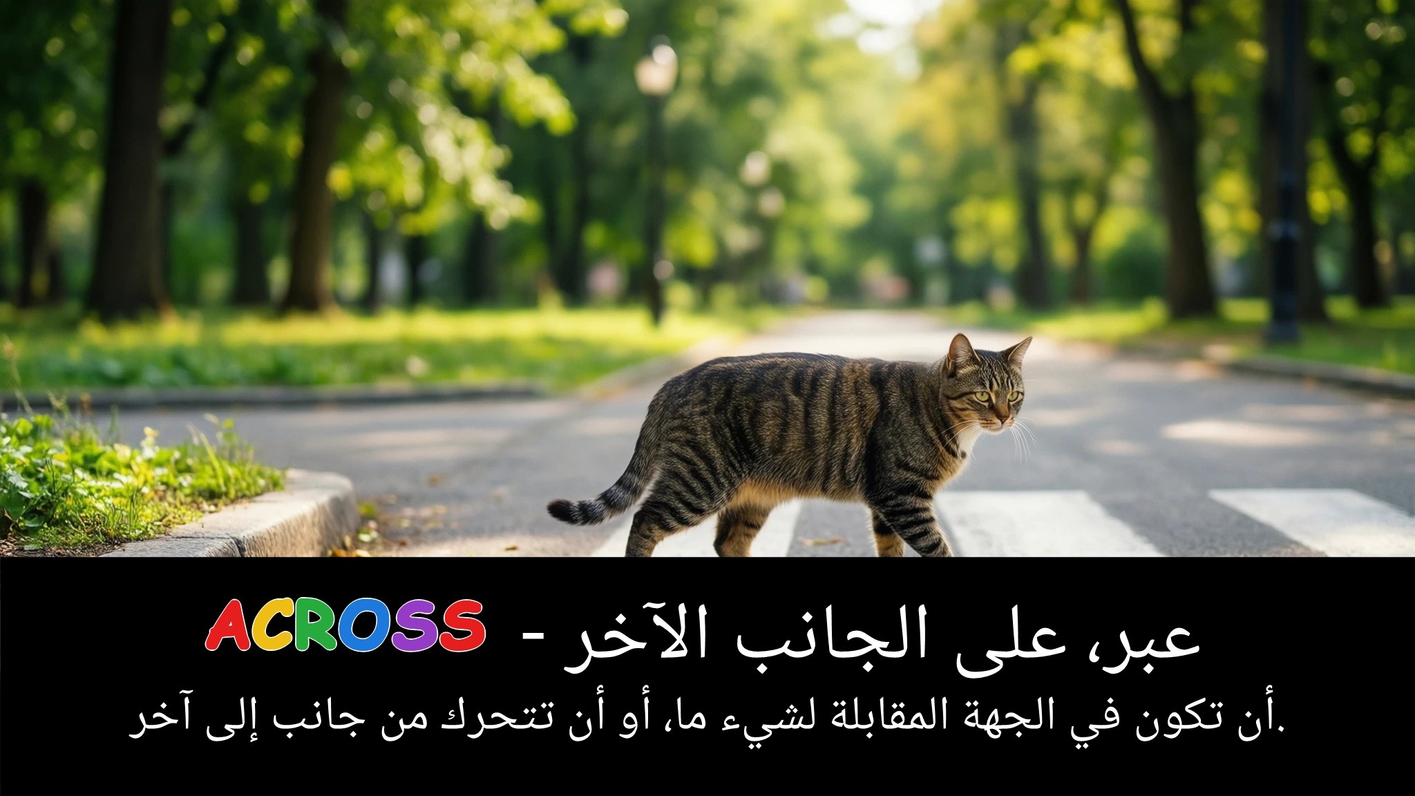 Arabic Illustration for across
